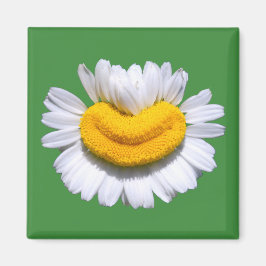 Imã Sorriso Radiante de Camomila Feliz