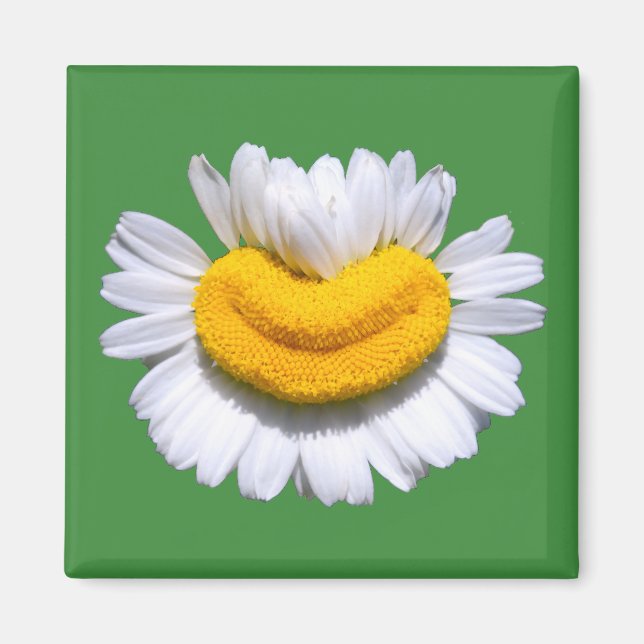 Imã Sorriso Radiante de Camomila Feliz  (Frente)
