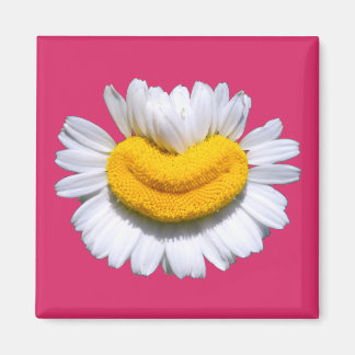 Imã Sorriso Radiante de Camomila Feliz