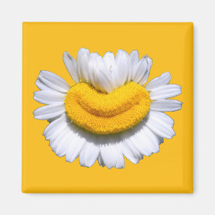 Imã Sorriso Radiante de Camomila Feliz
