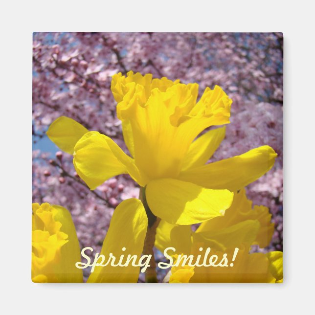 Imã Sorrisos de Primavera! Ímãs Amarelos Flores Narcis (Frente)