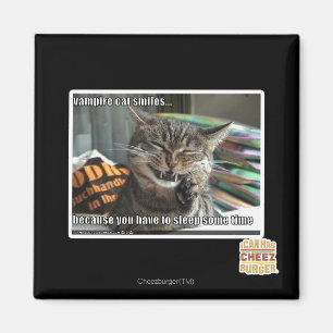 Imã sorrisos do gato do vampiro