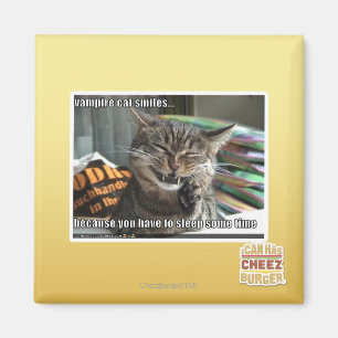 Imã sorrisos do gato do vampiro