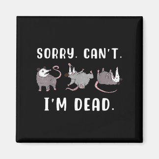 Imã Sorry Can't I'm Dead Ssum Character Playing Dead O