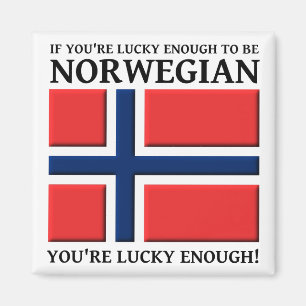 Imã Sortudo O Suficiente Para Ser Um Magneta Norueguê