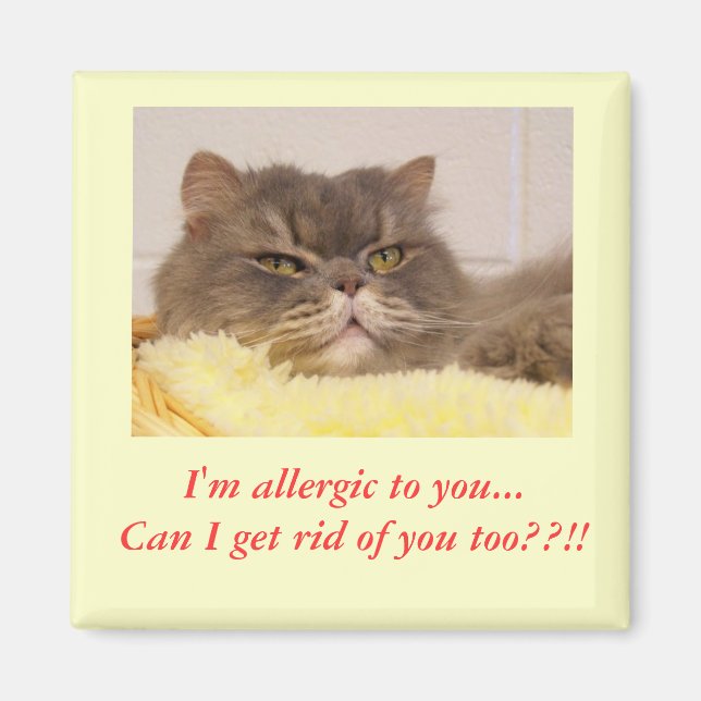 Imã Sou alérgico a você. Íman (Frente)