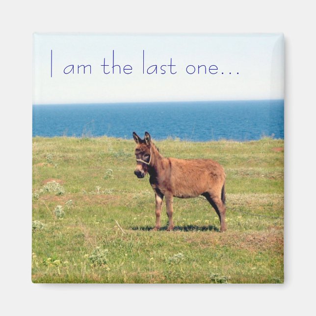 Imã Sou o último... Íman (Frente)