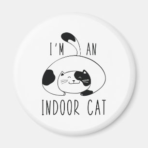 Imã Sou um gato ao ar livre