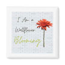 Sou um Wallflower Blooming