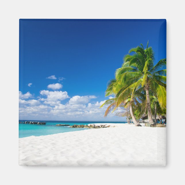 Imã Sous le soleil des tropiques (Frente)