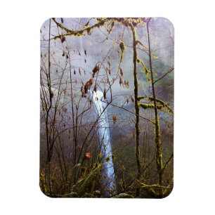 Ímã South Silver Falls
