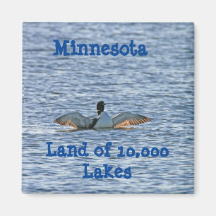 Imã Souvenir de Minnesota