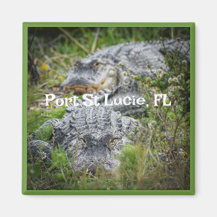 Imã Souvenir Magnet