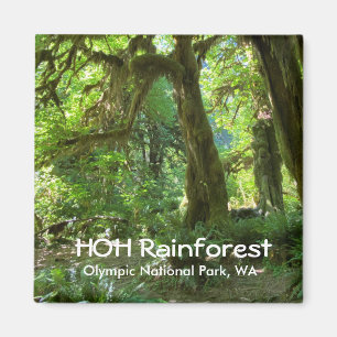 Imã Souvenir Magnet—Hoh RainForest, Olimpiadas NP