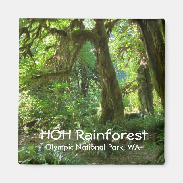Imã Souvenir Magnet—Hoh RainForest, Olimpiadas NP (Frente)