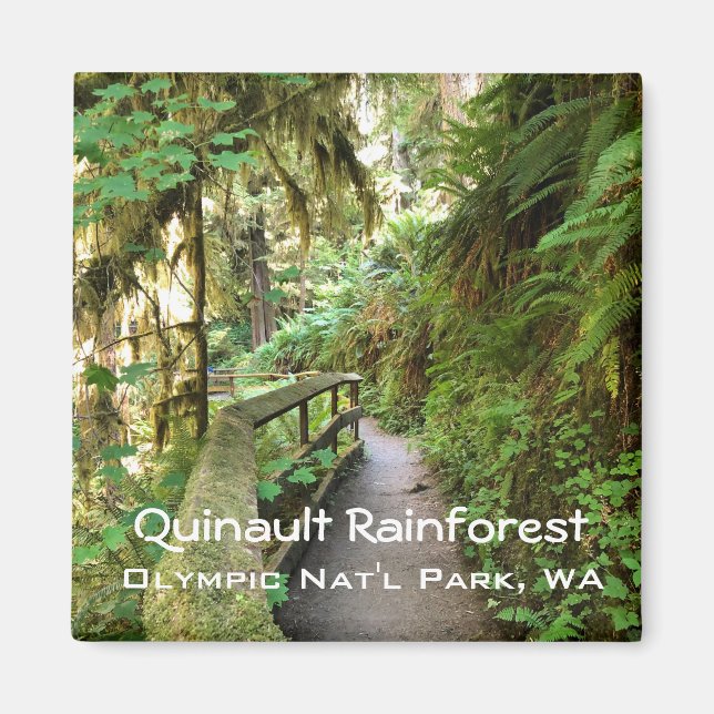 Imã Souvenir Magnet — Quinault RainForest, Olimpiadas  (Frente)