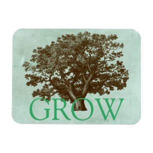 Ímã Spa Tree IV