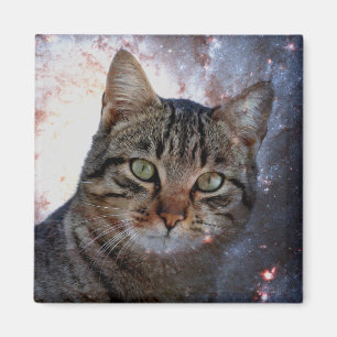 Imã Space Cat