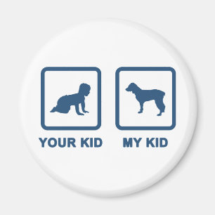 Imã Spaniel de Boykin