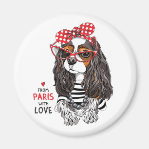 Imã Spaniel de rei Charles descuidado de Paris com