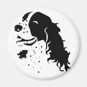 Imã Spaniel de Springer de riso