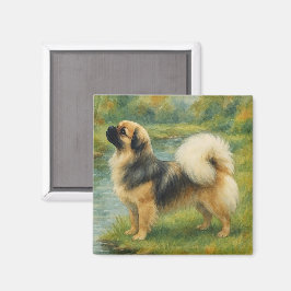 Imã Spaniel Tibetano