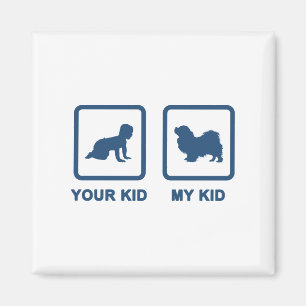 Imã Spaniel tibetano