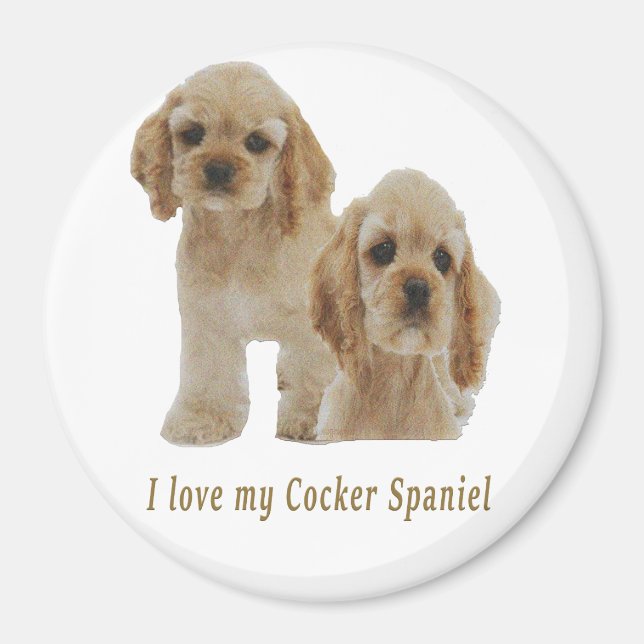 Imã spaniels de cocker (Frente)