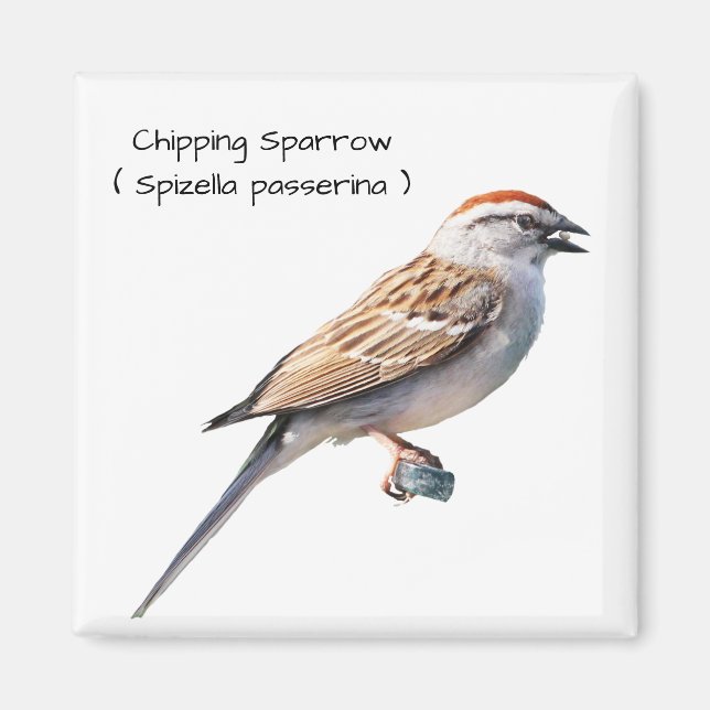 Imã Sparrow de chipset (Frente)
