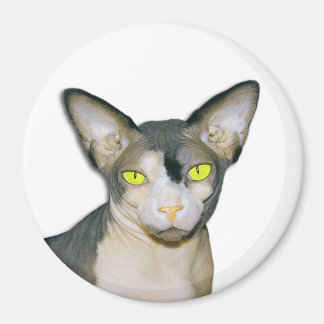 Imã Sphynx Cat Ninja White Round