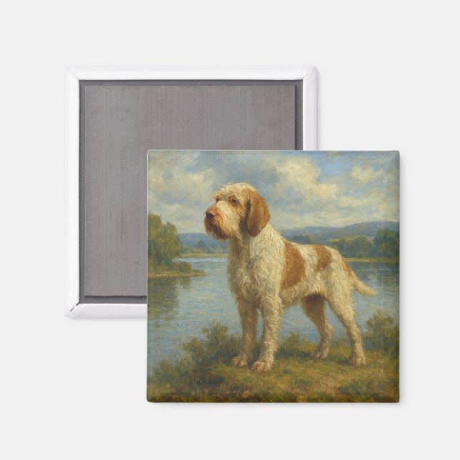 Imã Spinone Italiano (Front/Back)