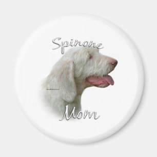 Imã Spinone Italiano Mãe 2