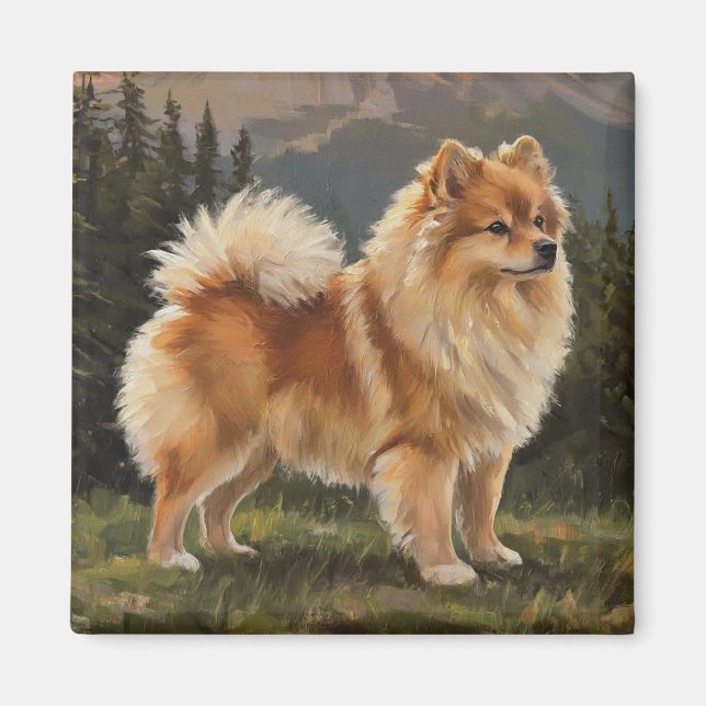 Imã Spitz alemão (Frente)
