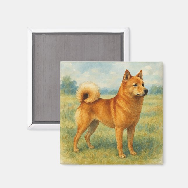 Imã Spitz Finlandês (Front/Back)
