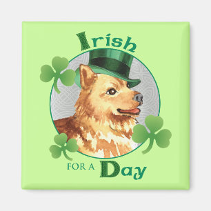 Imã Spitz finlandês do dia de St Patrick