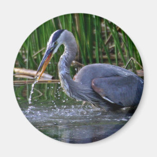 Imã Splash Heron