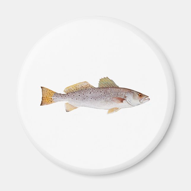 Imã Spotted Seatrout (Frente)
