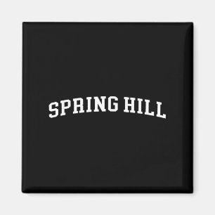 Imã Spring Hill