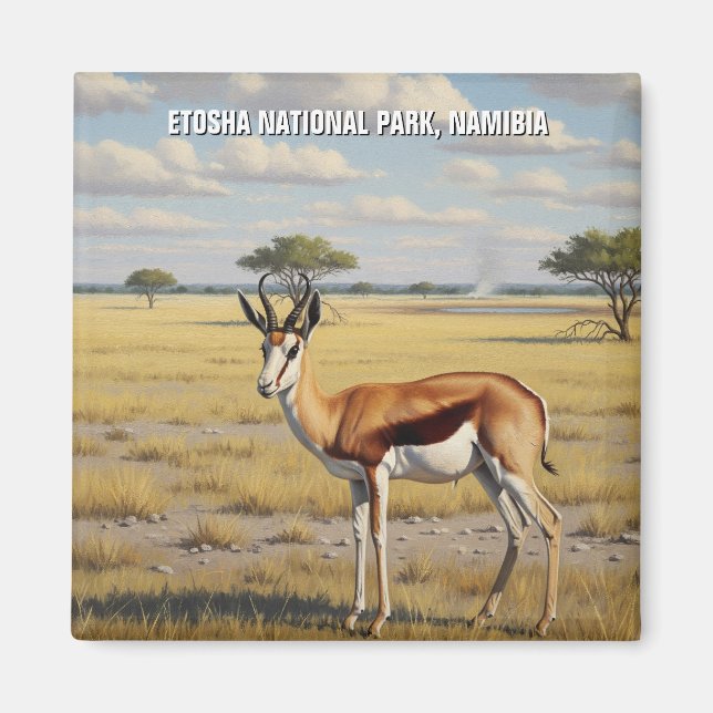 Imã Springbok Parque Nacional Etosha Namíbia Viagem (Frente)