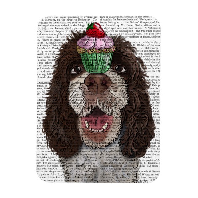 Ímã Springer Spaniel com Cupcake (Vertical)