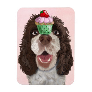 Ímã Springer Spaniel com Cupcake 2