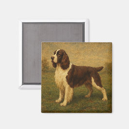 Imã Springer Spaniel Inglês