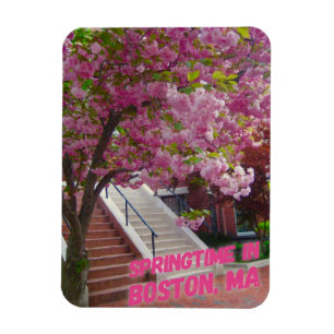 Ímã Springtime em Boston, MÃES