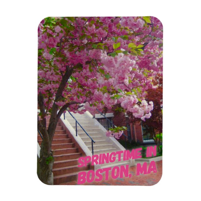 Ímã Springtime em Boston, MÃES (Vertical)