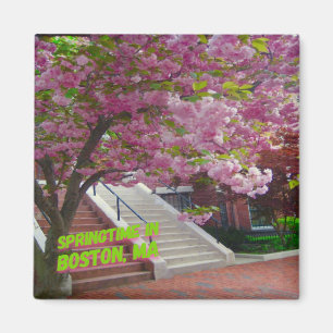 Imã Springtime em Boston, MÃES