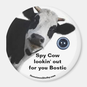 Imã Spy Cow está procurando por seu magneta bóstico