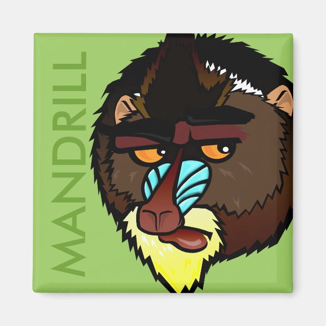 IMÃ SQUARE MANDRILL MAGNET (Frente)