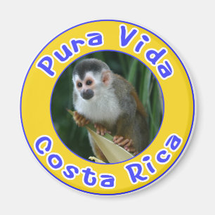 Imã Squirrel Monkey, Pura Vida, Costa Rica