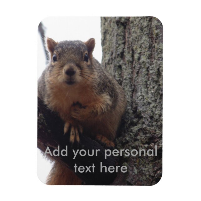 Ímã Squirrel photo magnet laminated (Vertical)
