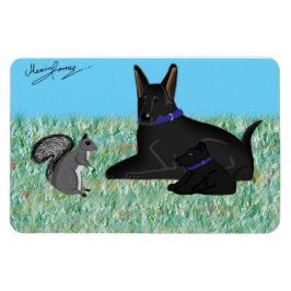 Ímã Sr. Esquilo - Conversação Escamoteada